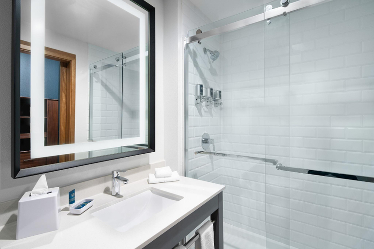 Bathroom 4, Four Points by Sheraton Oklahoma City Airport, Oklahoma