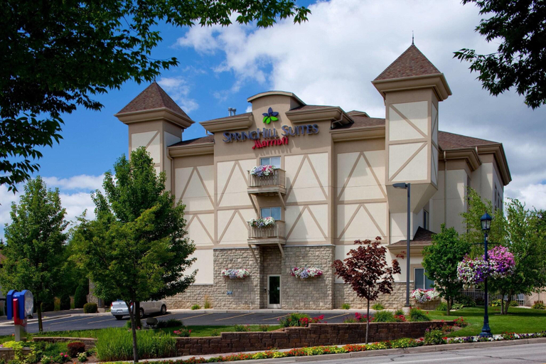 Exterior & Views 1, Springhill Suites Frankenmuth, Saginaw