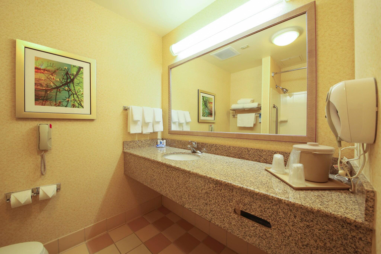 Bathroom 4, Fairfield Inn & Suites Cordele, Crisp