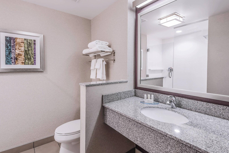 Bathroom 4, Fairfield Inn & Suites Chicago Schaumburg, Cook