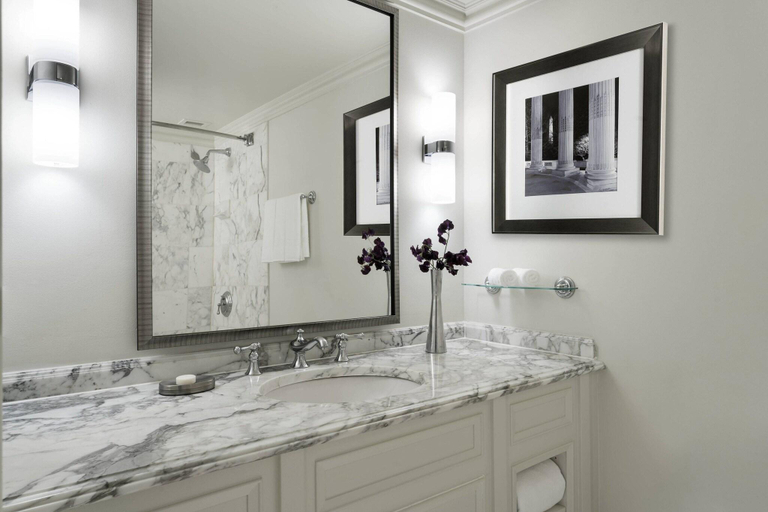 Bathroom 4, The Ritz-Carlton, Pentagon City, Arlington