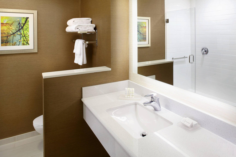 Bathroom, Fairfield Inn & Suites Wheeling Triadelphia at The, Ohio