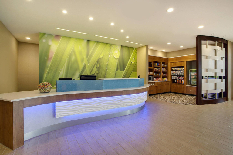 Public Area 3, Springhill Suites Murray, Calloway