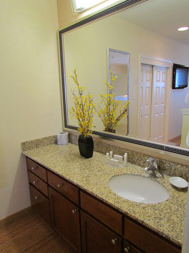 Bathroom 5, Residence Inn Louisville East, Jefferson