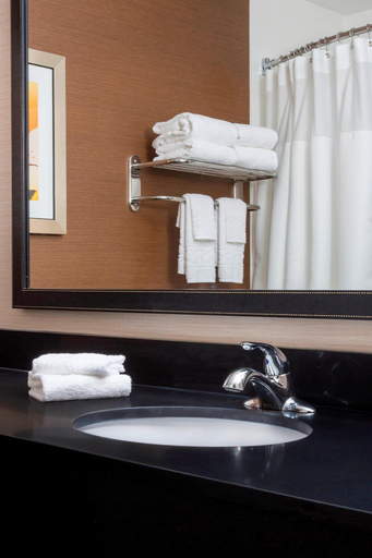 Bathroom 4, Fairfield Inn Tyler, Smith