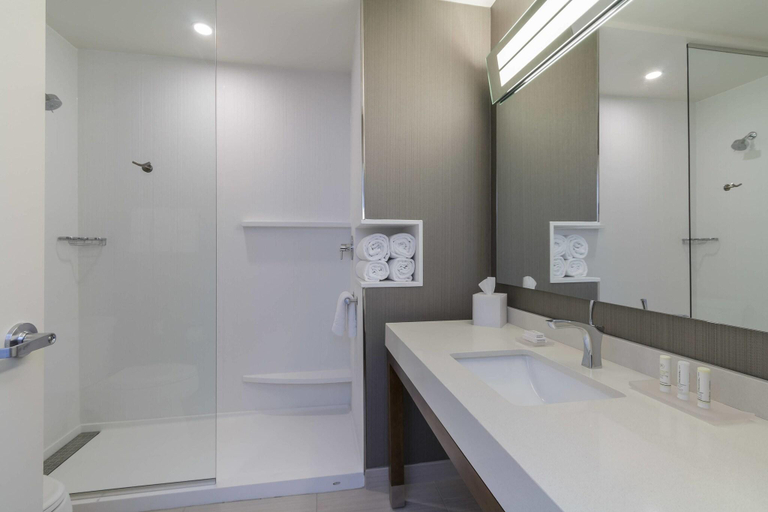 Bathroom 5, Courtyard by Marriott South Bend Downtown, Saint Joseph