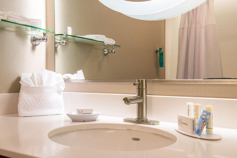 Bathroom 4, SpringHill Suites Kingman Route 66, Mohave