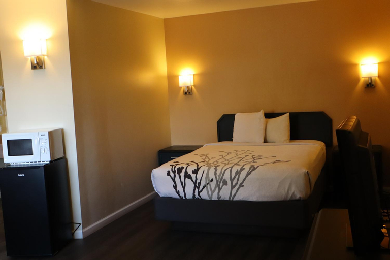 Bedroom 3, Black Canyon Motel, Montrose