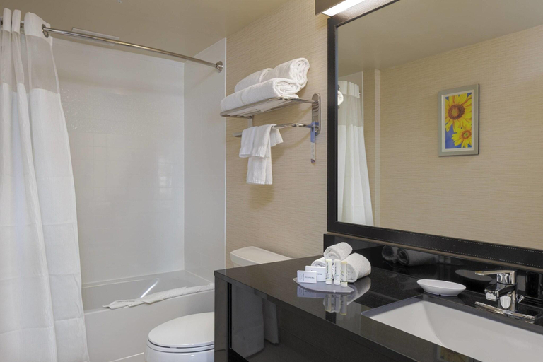 Bathroom 4, Fairfield Inn & Suites Belleville, Hastings
