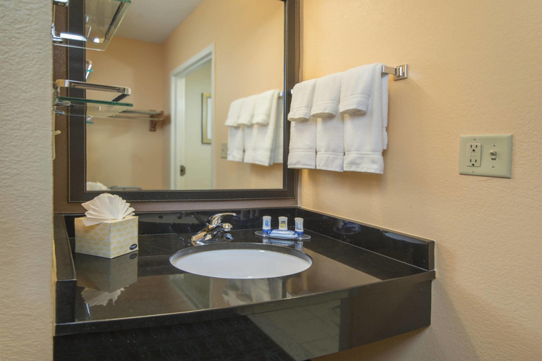 Bathroom 4, Fairfield Inn & Suites Frederick, Frederick
