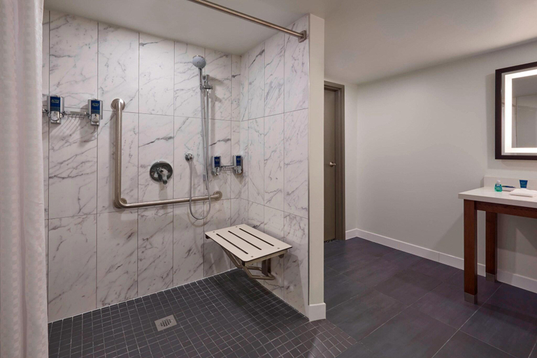 Bathroom 4, Four Points by Sheraton Toronto Airport, Peel