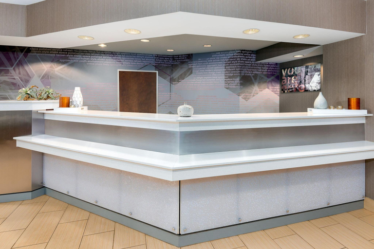 Public Area, SpringHill Suites by Marriott Asheville, Buncombe