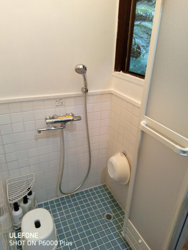 Bathroom 5, tebiro beach backpackers, Tatsugō