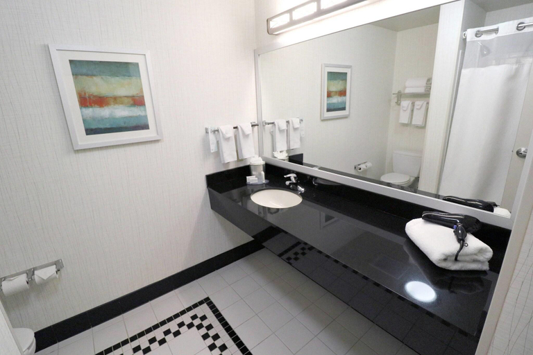 Bathroom 4, Fairfield Inn & Suites Des Moines Airport, Polk
