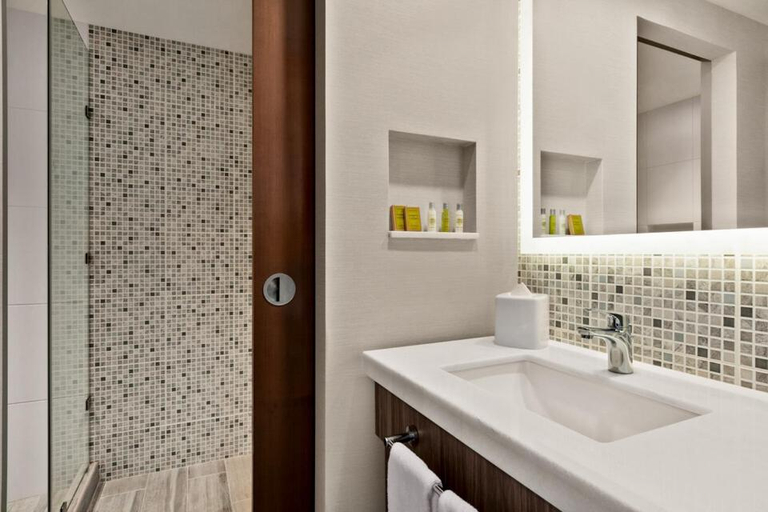 Bathroom 4, Hampton Inn by Hilton Monterrey Apodaca, Apodaca