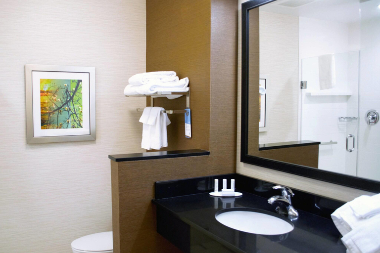 Bathroom 5, Fairfield Inn & Suites Stroudsburg Bartonsville, Monroe