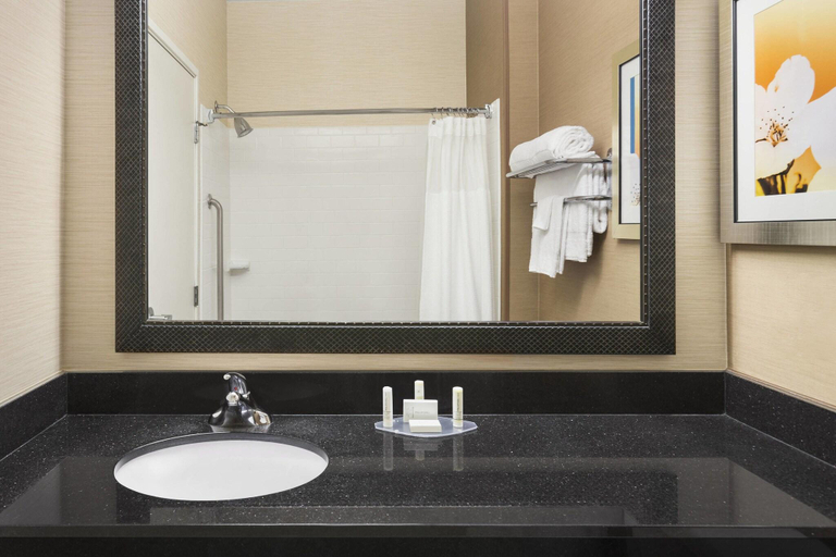 Bathroom 4, Fairfield Inn Racine, Racine
