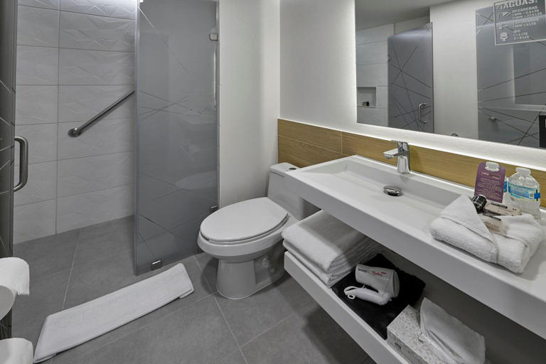 Bathroom, City Express Plus By Marriott Tampico, Tampico