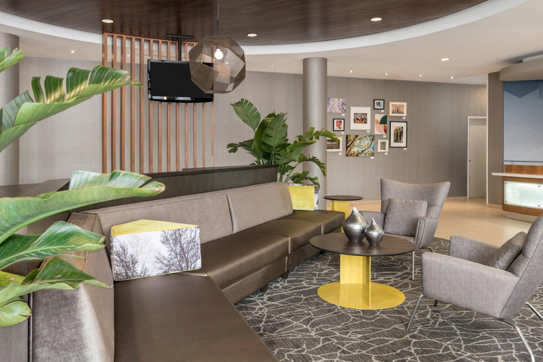 Public Area 2, SpringHill Suites Lafayette South at River Ranch, Lafayette