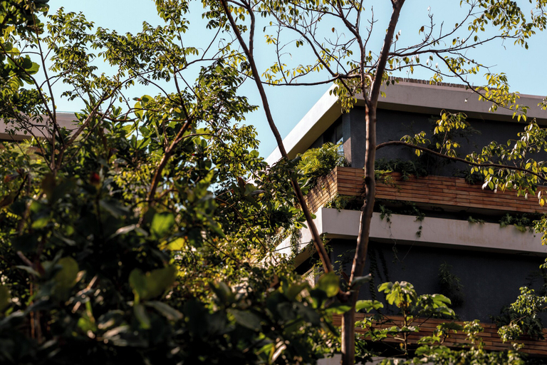 Front of property, Miraluna Penthouse Tulum, Cozumel