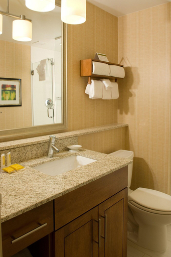 Bathroom 5, Residence Inn Fairfax City, Fairfax City