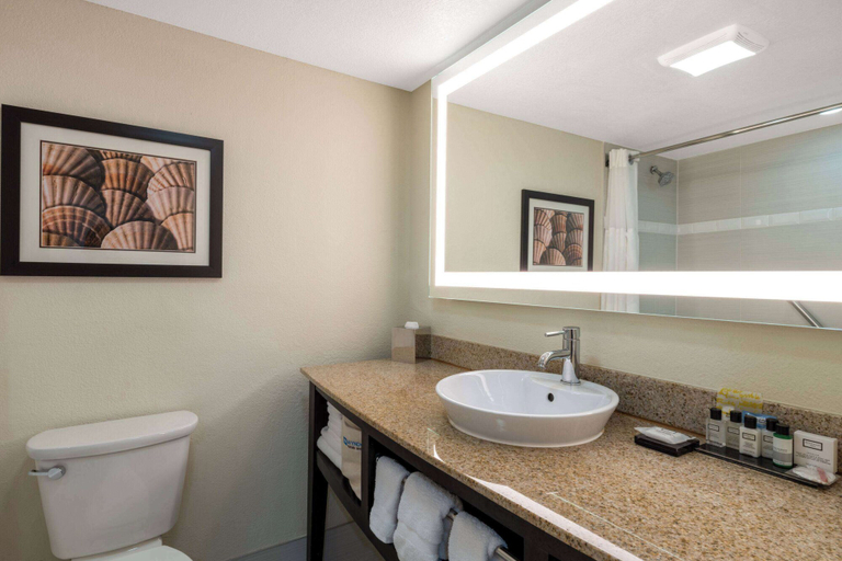 Bathroom 5, Wyndham Boca Raton, Palm Beach