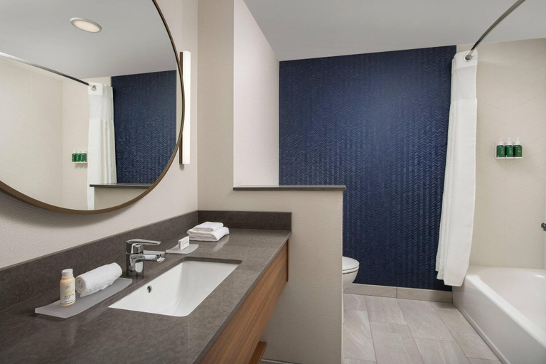 Bathroom 4, Fairfield Inn & Suites by Marriott Knoxville Lenoi, Loudon