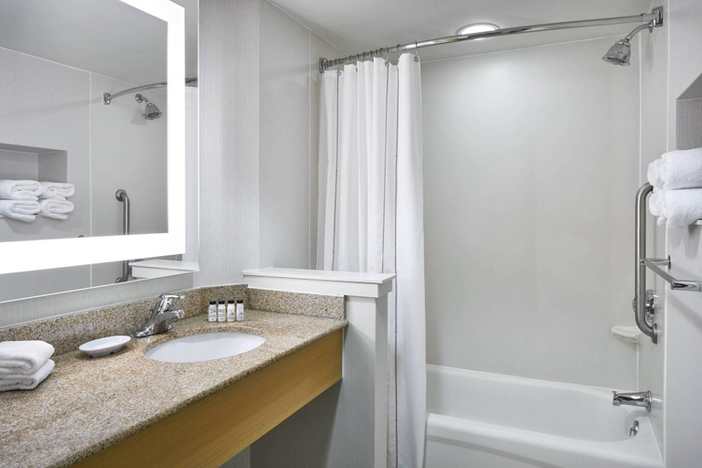 Bathroom 4, Delta Hotels Norfolk Airport, Norfolk