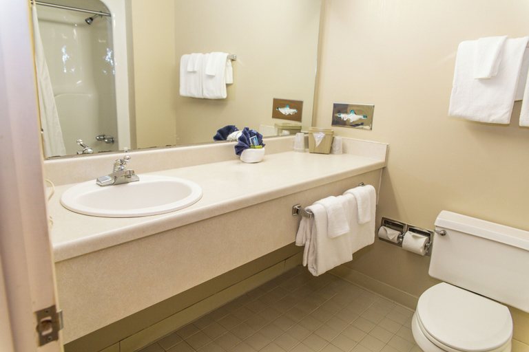 Bathroom 3, The Inn at Snowshoe, Pocahontas