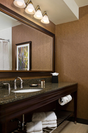 Bathroom 4, Sheraton Springfield Monarch Place, Hampden