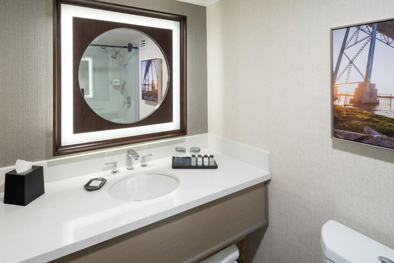 Bathroom 4, Sheraton Detroit Novi Hotel, Oakland