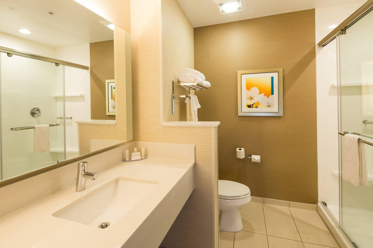 Bathroom, Fairfield Inn & Suites Detroit Macomb, Macomb