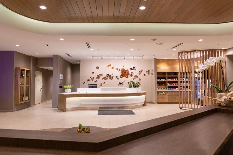 Public Area 3, SpringHill Suites Austin Cedar Park, Williamson