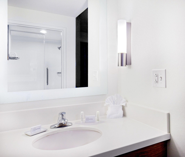 Bathroom, Springhill Suites Chesapeake Greenbrier, Chesapeake