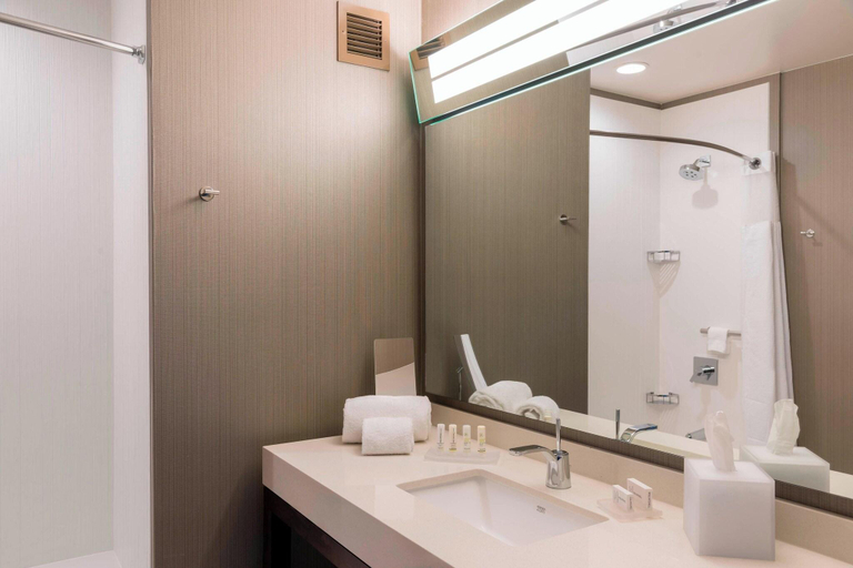 Bathroom 4, Courtyard Waterloo Cedar Falls, Black Hawk