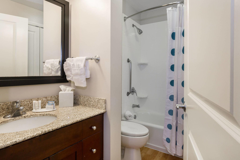 Bathroom 4, TownePlace Suites Boise Downtown/University, Ada