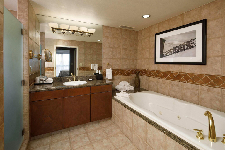 Bathroom 4, Sheraton Sioux Falls & Center, Minnehaha
