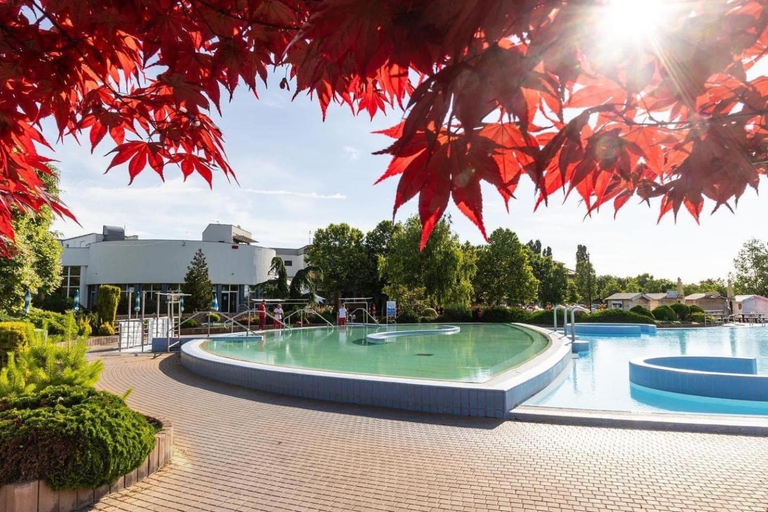 Others 3, Dom ALEX pri kupalisku Thermalpark, Dunajská Streda