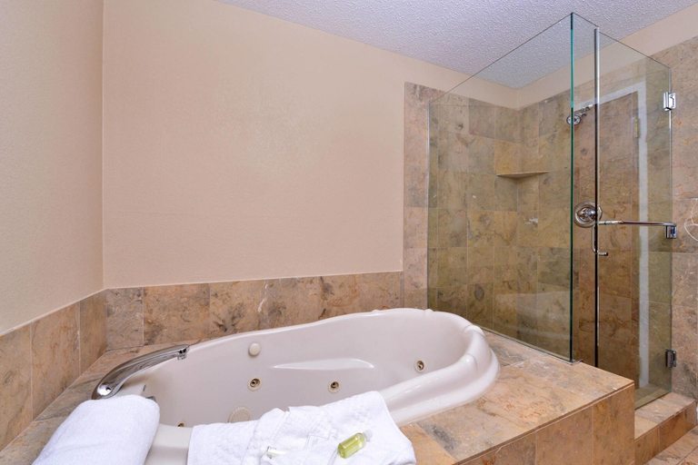 Bathroom 5, TownePlace Suites Detroit Warren, Macomb