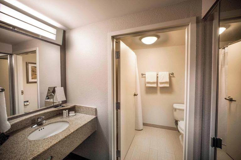 Bathroom 5, Courtyard by Marriott Norfolk Downtown, Norfolk