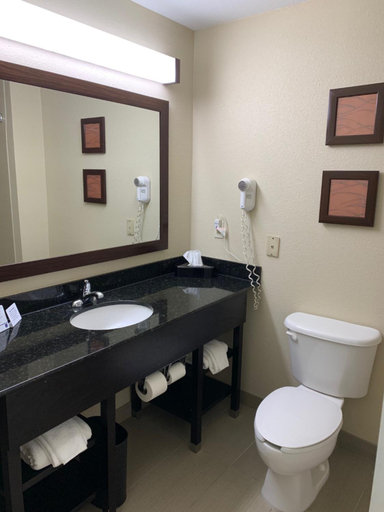 Bathroom 4, Comfort Inn & Suites Atlanta/Smyrna, Cobb