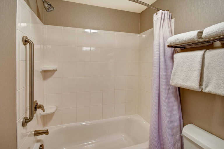 Bathroom 4, Springhill Suites Louisville Airport, Jefferson