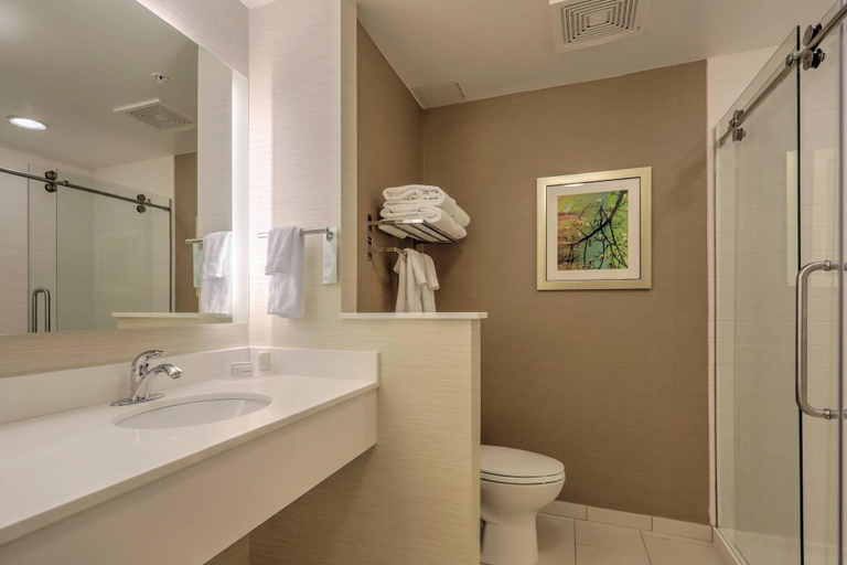 Bathroom, Fairfield Inn & Suites Greenville, Pitt