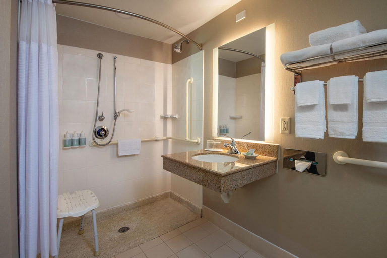 Bathroom 4, SpringHill Suites Hagerstown, Washington