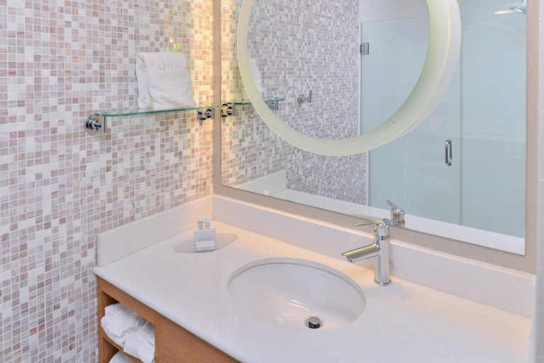 Bathroom 4, Springhill Suites Detroit Metro Airport Romulus, Wayne