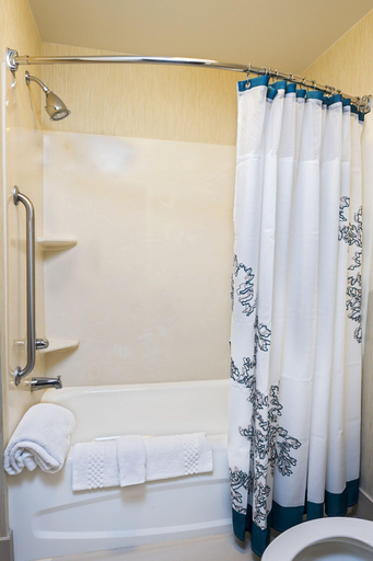 Bathroom 4, Residence Inn Lakeland, Polk
