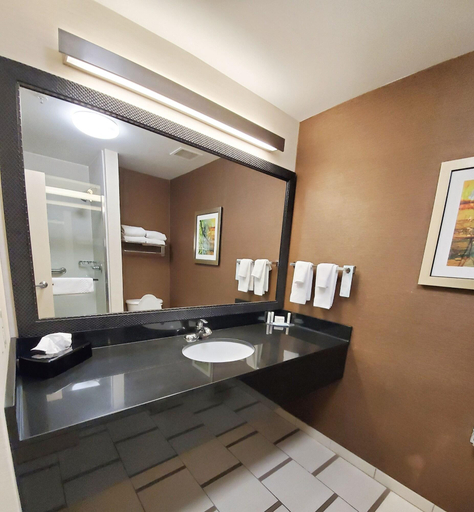 Bathroom 5, Fairfield Inn Suites Cleveland Avon, Lorain