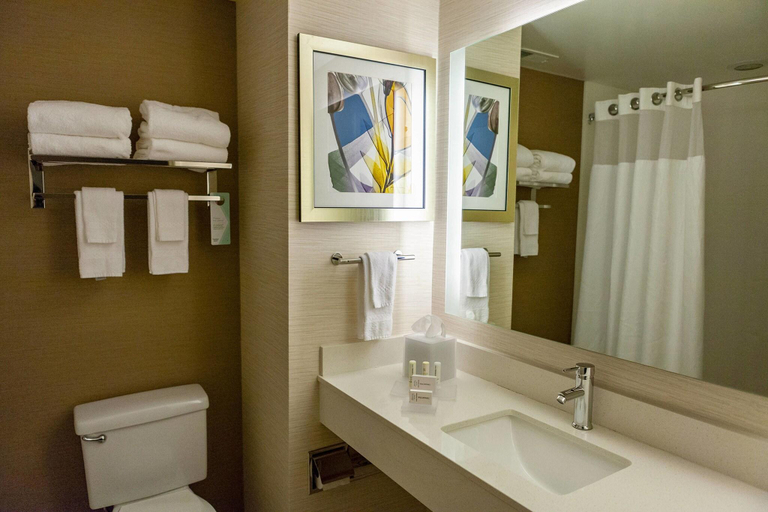 Bathroom 4, Fairfield Inn & Suites Rockingham, Richmond