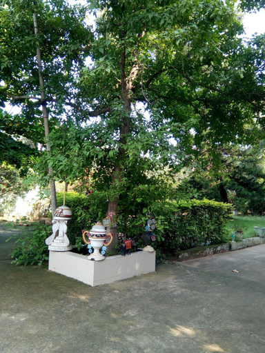 Others 3, Labanya Guest house, Puri