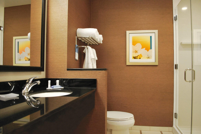 Bathroom 5, Fairfield Inn & Suites Springfield Northampton/Amherst, Hampshire